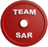 Team SAR logo
